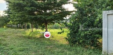 ขายที่ดิน อ.เมืองพะเยา ต.บ้านต๋อม 1 ไร่ โฉนด พร้อมโอน โทร 0817830178