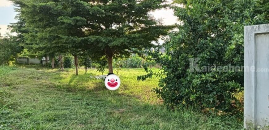 ขายที่ดิน อ.เมืองพะเยา ต.บ้านต๋อม 1 ไร่ โฉนด พร้อมโอน โทร 0817830178