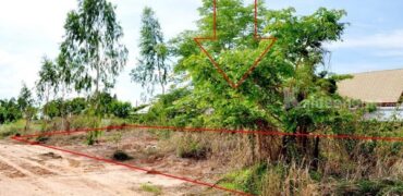 ขายที่ดินใกล้แยกอินโดจีน จังหวัดพิษณุโลก ขนาด 200 ตารางวา ถมแล้ว โทร 082-404-8483