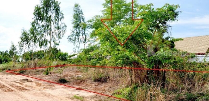 ขายที่ดินใกล้แยกอินโดจีน จังหวัดพิษณุโลก ขนาด 200 ตารางวา ถมแล้ว โทร 082-404-8483