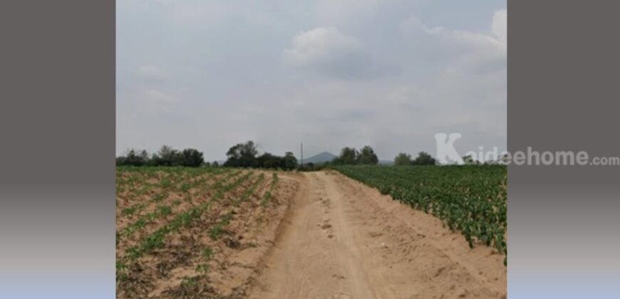 ขายที่ดิน นิคมอุตสาหกรรมอมตะ ระยอง 24 ไร่ 82 วา ถ.พนมสารคาม-สัตหีบ (ทล.331) เหมาะทำโกดัง โรงงาน