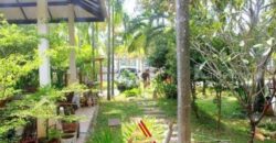 บ้านสไตล์บาหลีสุดหรูใจกลางเมือง บ้านฉาง ระยอง บนเนื้อที่ 300 ตร.ว.