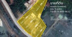 ที่ดินถมแล้ว 1-2-55 ไร่ (655 ตร.ว.) แบ่งขายเริ่มต้น 100 ตร.ว. ซอยรุ่งทรัพย์ (วัดบัวแก้ววนาราม) บ้านปทุม สามโคก ปทุมธานี