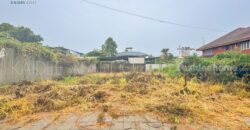 ที่ดิน บางแวก – พุทธมณฑลสาย 3 | หมู่บ้าน ชัชฎา วิลล่า