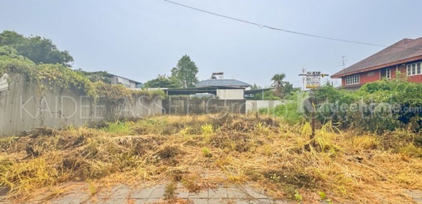 ที่ดิน บางแวก – พุทธมณฑลสาย 3 | หมู่บ้าน ชัชฎา วิลล่า