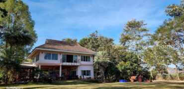 ขายบ้านสวนเขาใหญ่ พร้อมสวนผลไม้ ไม้เศรษฐกิจ ที่ดิน 19ไร่ เขาวง หนองน้ำแดง ปากช่อง นครราชสีมา วิวเขาสวยมาก ติดถนนลาดยาง 7165 ใกล้มิตรภาพ ทำเลดีมากเดินทางสะดวก มี ภบท.ท้ายที่อีก 9ไร่ รวม 27ไร่ คุ้มมากแปลงนี้ 087-9074045