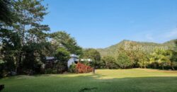 ขายบ้านสวนเขาใหญ่ พร้อมสวนผลไม้ ไม้เศรษฐกิจ ที่ดิน 19ไร่ เขาวง หนองน้ำแดง ปากช่อง นครราชสีมา วิวเขาสวยมาก ติดถนนลาดยาง 7165 ใกล้มิตรภาพ ทำเลดีมากเดินทางสะดวก มี ภบท.ท้ายที่อีก 9ไร่ รวม 27ไร่ คุ้มมากแปลงนี้ 087-9074045