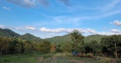 ขายบ้านสวนเขาใหญ่ พร้อมสวนผลไม้ ไม้เศรษฐกิจ ที่ดิน 19ไร่ เขาวง หนองน้ำแดง ปากช่อง นครราชสีมา วิวเขาสวยมาก ติดถนนลาดยาง 7165 ใกล้มิตรภาพ ทำเลดีมากเดินทางสะดวก มี ภบท.ท้ายที่อีก 9ไร่ รวม 27ไร่ คุ้มมากแปลงนี้ 087-9074045