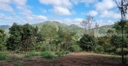 ขายบ้านสวนเขาใหญ่ พร้อมสวนผลไม้ ไม้เศรษฐกิจ ที่ดิน 19ไร่ เขาวง หนองน้ำแดง ปากช่อง นครราชสีมา วิวเขาสวยมาก ติดถนนลาดยาง 7165 ใกล้มิตรภาพ ทำเลดีมากเดินทางสะดวก มี ภบท.ท้ายที่อีก 9ไร่ รวม 27ไร่ คุ้มมากแปลงนี้ 087-9074045