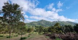 ขายบ้านสวนเขาใหญ่ พร้อมสวนผลไม้ ไม้เศรษฐกิจ ที่ดิน 19ไร่ เขาวง หนองน้ำแดง ปากช่อง นครราชสีมา วิวเขาสวยมาก ติดถนนลาดยาง 7165 ใกล้มิตรภาพ ทำเลดีมากเดินทางสะดวก มี ภบท.ท้ายที่อีก 9ไร่ รวม 27ไร่ คุ้มมากแปลงนี้ 087-9074045