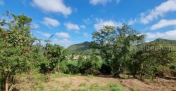 ขายบ้านสวนเขาใหญ่ พร้อมสวนผลไม้ ไม้เศรษฐกิจ ที่ดิน 19ไร่ เขาวง หนองน้ำแดง ปากช่อง นครราชสีมา วิวเขาสวยมาก ติดถนนลาดยาง 7165 ใกล้มิตรภาพ ทำเลดีมากเดินทางสะดวก มี ภบท.ท้ายที่อีก 9ไร่ รวม 27ไร่ คุ้มมากแปลงนี้ 087-9074045