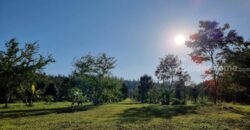 ขายบ้านสวนเขาใหญ่ พร้อมสวนผลไม้ ไม้เศรษฐกิจ ที่ดิน 19ไร่ เขาวง หนองน้ำแดง ปากช่อง นครราชสีมา วิวเขาสวยมาก ติดถนนลาดยาง 7165 ใกล้มิตรภาพ ทำเลดีมากเดินทางสะดวก มี ภบท.ท้ายที่อีก 9ไร่ รวม 27ไร่ คุ้มมากแปลงนี้ 087-9074045