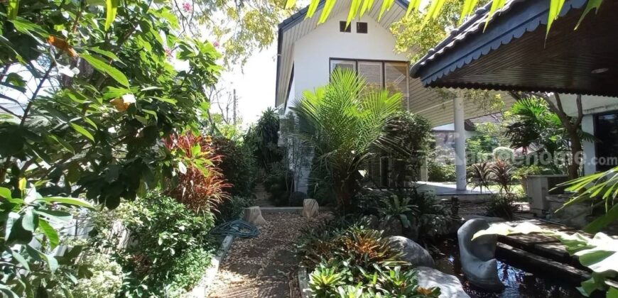 ขายบ้านเดี่ยวพัฒนาการ บ้านหรูพร้อมสวนขนาดใหญ่ ที่ดิน 200ตร.ว หมู่บ้านเอื้อสุข พัฒนาการ56 ใกล้ รร.เตรียมอุดมพัฒนาการ ศรีนครินทร์ หัวหมาก ใกล้มอเตอร์เวย์ สนามบิน เดอะไนน์ พระราม9 Detach House Phatthanakarn 087-9074045