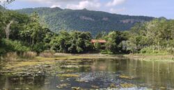 ขายที่ดินริมน้ำเขาใหญ่ 1ไร่ ที่ดินติดเวิ้งน้ำ วิวเขาสวยมาก ในโครงการมูนแดนซ์ Moondance ติดถนนธนะรัชต์ ใกล้อุทยานแห่งชาติเขาใหญ่ ใกล้สามแยกกุกคล้า ตลาดนัด ร้านอาหาร ร่มรื่นต้นไม้เยอะ ขายถูกมาก ด่วน 0879074045