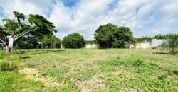 ขายที่ดินเปล่าในโครงการอารียาโคโม่ ลาดกระบัง ถ.ขุมทอง-ลำต้อยติ่ง ใกล้สนามบินสุวรรณภูมิ ,เนื้อที่ 214 ตรว. ที่สวย ถมแล้ว ขายต่ำกว่าราคาประเมิน เพียง 17,000 บาทต่อตารางวา