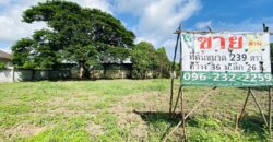 ขายที่ดินเปล่า ขนาด 239 ตรว. ภายในโครงการอารียา โคโม่ ลาดกระบัง ถ.ขุมทอง-ลำต้อยติ่ง ใกล้สนามบินสุวรรณภูมิ ,ที่สวย ถมแล้ว ขายต่ำกว่าประเมิน ราคา 4,660,000 บาท