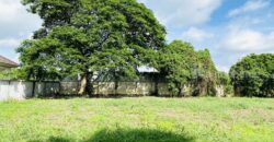 ขายที่ดินเปล่า ขนาด 239 ตรว. ภายในโครงการอารียา โคโม่ ลาดกระบัง ถ.ขุมทอง-ลำต้อยติ่ง ใกล้สนามบินสุวรรณภูมิ ,ที่สวย ถมแล้ว ขายต่ำกว่าประเมิน ราคา 4,660,000 บาท