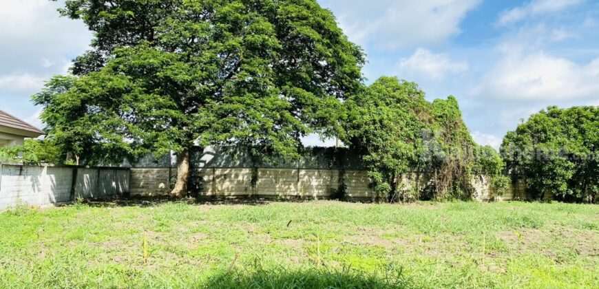 ขายที่ดินเปล่า ขนาด 239 ตรว. ภายในโครงการอารียา โคโม่ ลาดกระบัง ถ.ขุมทอง-ลำต้อยติ่ง ใกล้สนามบินสุวรรณภูมิ ,ที่สวย ถมแล้ว ขายต่ำกว่าประเมิน ราคา 4,660,000 บาท