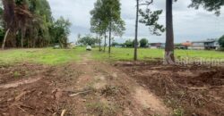 ที่ดินชุมแสง จ.นครสวรรค์