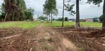 ที่ดินชุมแสง จ.นครสวรรค์