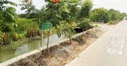 ที่ดินนครชัยศรี จ.นครปฐม