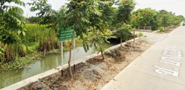 ที่ดินนครชัยศรี จ.นครปฐม