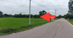 ที่นา อ.สุวรรณภูมิ จ.ร้อยเอ็ด