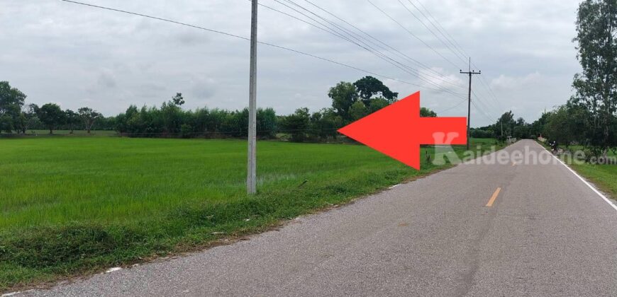 ขายที่นา 33 ไร่ บ้านส้มโฮง ตำบลหินกอง