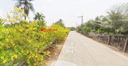 ที่ดินนครชัยศรี จ.นครปฐม