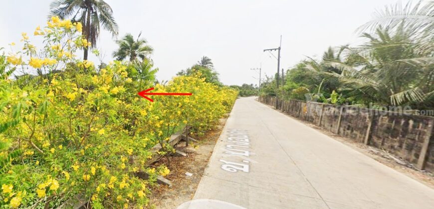 ที่ดินนครชัยศรี จ.นครปฐม