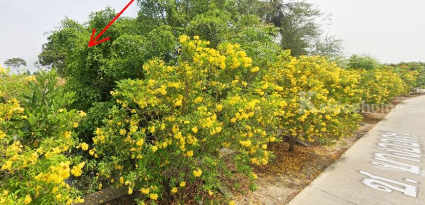 ที่ดินนครชัยศรี จ.นครปฐม