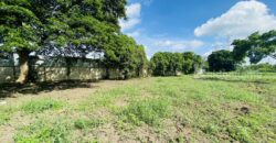 ขายที่ดินเปล่า ขนาด 239 ตรว. ภายในโครงการอารียา โคโม่ ลาดกระบัง ถ.ขุมทอง-ลำต้อยติ่ง ใกล้สนามบินสุวรรณภูมิ ,ที่สวย ถมแล้ว ขายต่ำกว่าประเมิน ราคา 4,660,000 บาท