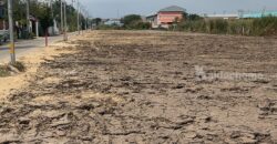 ที่ดินต.บางเพรียง อ.บางบ่อ จ.สมุทรปราการ