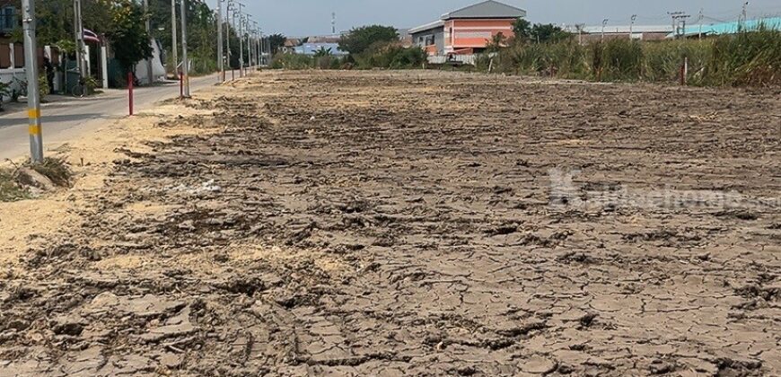 ที่ดินต.บางเพรียง อ.บางบ่อ จ.สมุทรปราการ