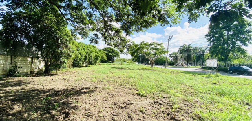 ขายที่ดินเปล่า ขนาด 239 ตรว. ภายในโครงการอารียา โคโม่ ลาดกระบัง ถ.ขุมทอง-ลำต้อยติ่ง ใกล้สนามบินสุวรรณภูมิ ,ที่สวย ถมแล้ว ขายต่ำกว่าประเมิน ราคา 4,660,000 บาท