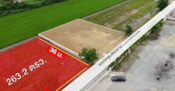 ขายที่ดิน 263 ตรว. พร้อมถมดินให้ ซอยวัดพูนพิมลราช ต.พิมลราช อ.บางบัวทอง จ.นนทบุรี โทร 088-899-8965