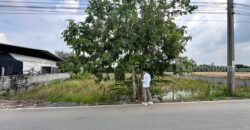 ขายที่ดิน 263 ตรว. พร้อมถมดินให้ ซอยวัดพูนพิมลราช ต.พิมลราช อ.บางบัวทอง จ.นนทบุรี โทร 088-899-8965