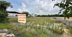 ขายที่ดิน 263 ตรว. พร้อมถมดินให้ ซอยวัดพูนพิมลราช ต.พิมลราช อ.บางบัวทอง จ.นนทบุรี โทร 088-899-8965