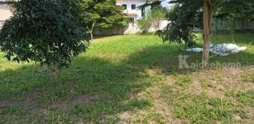 ขายที่ดินเมืองพะเยา บ้านต๋อม เนื้อที่ 400 ตรว. โฉนดพร้อมโอน ใกล้ศาลากลางพะเยา 1 กม. โทร 0817830178