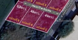 ขายที่ดินนนทบุรี ไทรน้อย บางบัวทอง-ถมแล้ว เส้นบ้านกล้วย-ไทรน้อย ซอยสามัคคีธรรม2 โทร 095-4681414