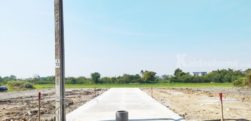 ขายที่ดินนนทบุรี ไทรน้อย บางบัวทอง-ถมแล้ว เส้นบ้านกล้วย-ไทรน้อย ซอยสามัคคีธรรม2 โทร 095-4681414