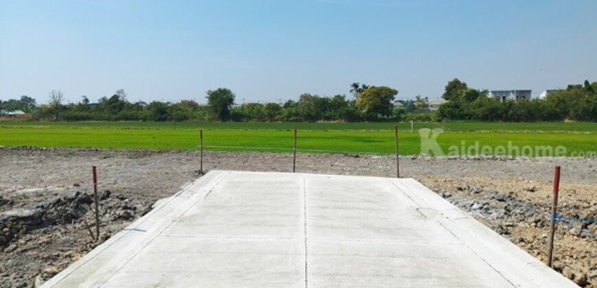 ขายที่ดินนนทบุรี ไทรน้อย บางบัวทอง-ถมแล้ว เส้นบ้านกล้วย-ไทรน้อย ซอยสามัคคีธรรม2 โทร 095-4681414