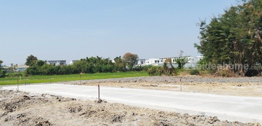 ขายที่ดินนนทบุรี ไทรน้อย บางบัวทอง-ถมแล้ว เส้นบ้านกล้วย-ไทรน้อย ซอยสามัคคีธรรม2 โทร 095-4681414