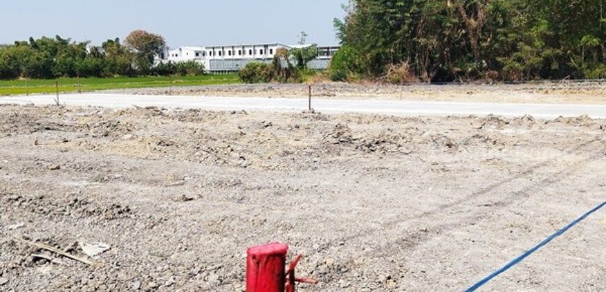 ขายที่ดินนนทบุรี ไทรน้อย บางบัวทอง-ถมแล้ว เส้นบ้านกล้วย-ไทรน้อย ซอยสามัคคีธรรม2 โทร 095-4681414