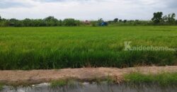 ขายที่ดินนนทบุรี ไทรน้อย บางบัวทอง-ถมแล้ว เส้นบ้านกล้วย-ไทรน้อย ซอยสามัคคีธรรม2 โทร 095-4681414