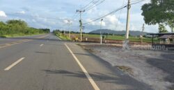 ขายที่ดินแปลงสวย 12 ไร่ 2 งาน ติดถนน 3 ด้าน เหมาะแบ่งจัดสรรขาย ปลูกบ้าน หรือทำสวนเกษตร โทร. 094-5276439