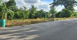 ขายที่ดินแปลงสวย 12 ไร่ 2 งาน ติดถนน 3 ด้าน เหมาะแบ่งจัดสรรขาย ปลูกบ้าน หรือทำสวนเกษตร โทร. 094-5276439