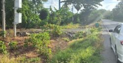 ขายที่ดินแปลงสวย 12 ไร่ 2 งาน ติดถนน 3 ด้าน เหมาะแบ่งจัดสรรขาย ปลูกบ้าน หรือทำสวนเกษตร โทร. 094-5276439