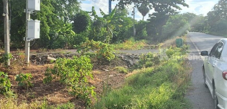 ขายที่ดินแปลงสวย 12 ไร่ 2 งาน ติดถนน 3 ด้าน เหมาะแบ่งจัดสรรขาย ปลูกบ้าน หรือทำสวนเกษตร โทร. 094-5276439