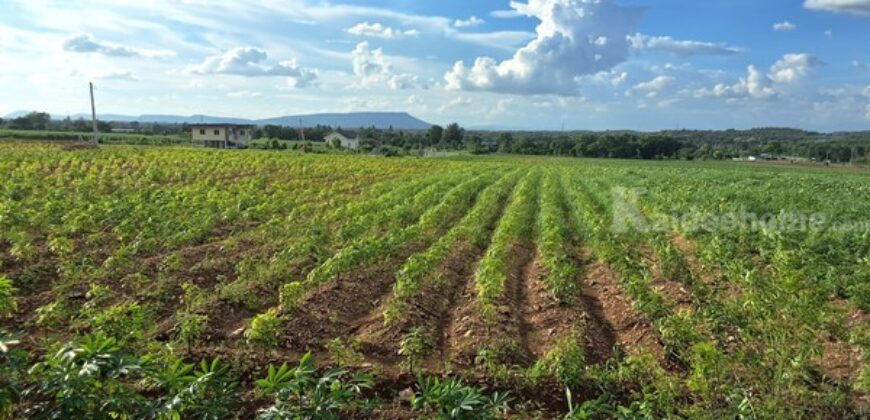 ขายที่ดินแปลงสวย 12 ไร่ 2 งาน ติดถนน 3 ด้าน เหมาะแบ่งจัดสรรขาย ปลูกบ้าน หรือทำสวนเกษตร โทร. 094-5276439